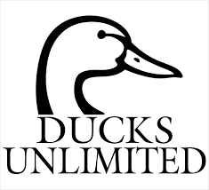 DU Logo